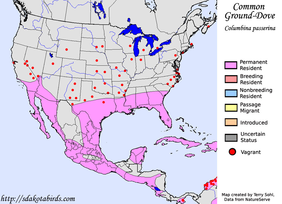 Common Ground-dove - Range Map