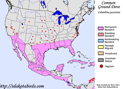 Common Ground-dove - Columbina passerina - Range Map