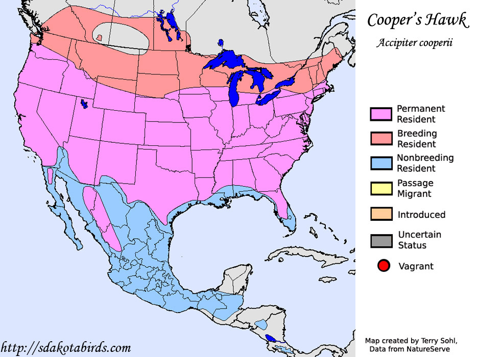 Cooper's Hawk - Range Map