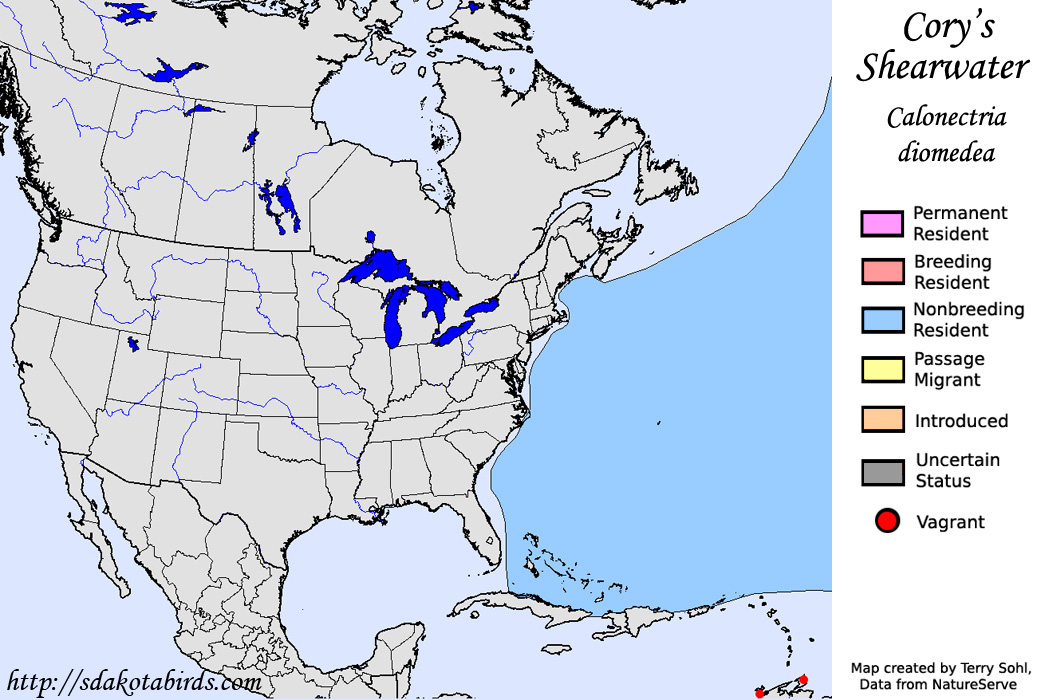 Cory's Shearwater - North American Range map
