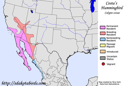 Costa's Hummingbird - Calypte costae - Range Map