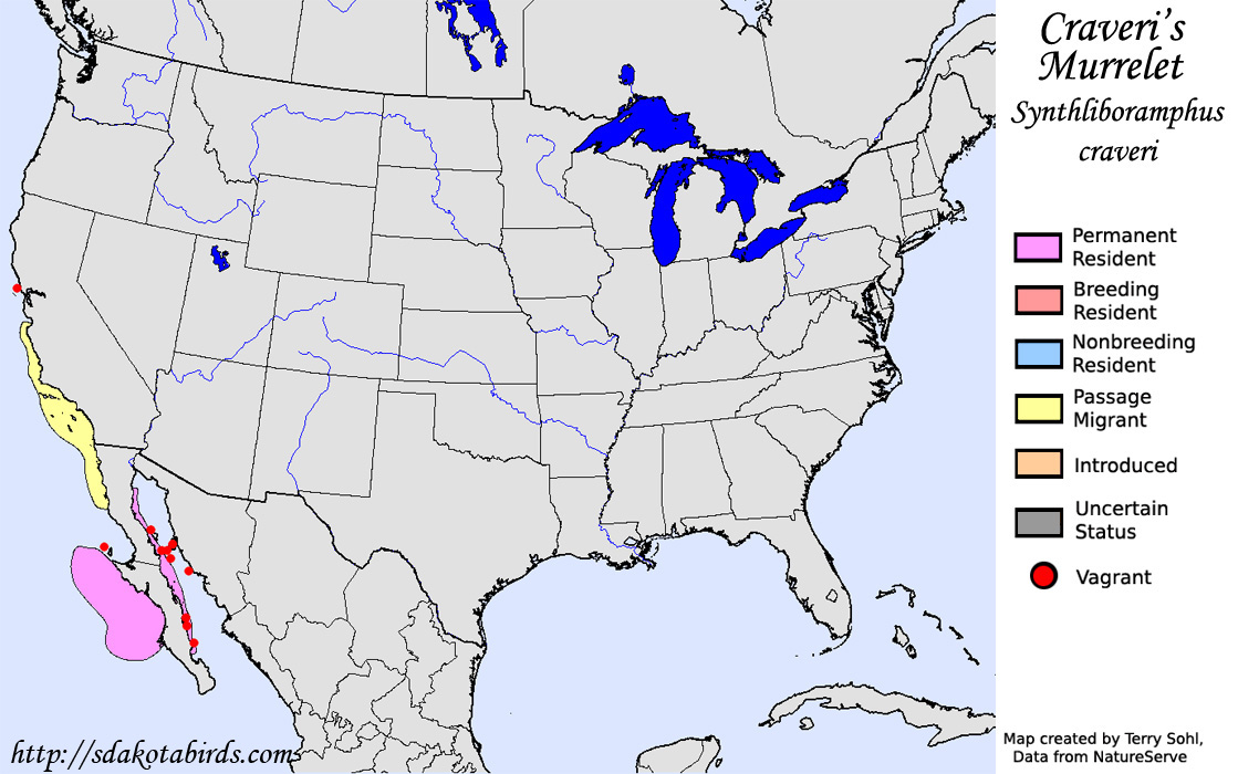 Craveri's Murrelet - North American Range Map