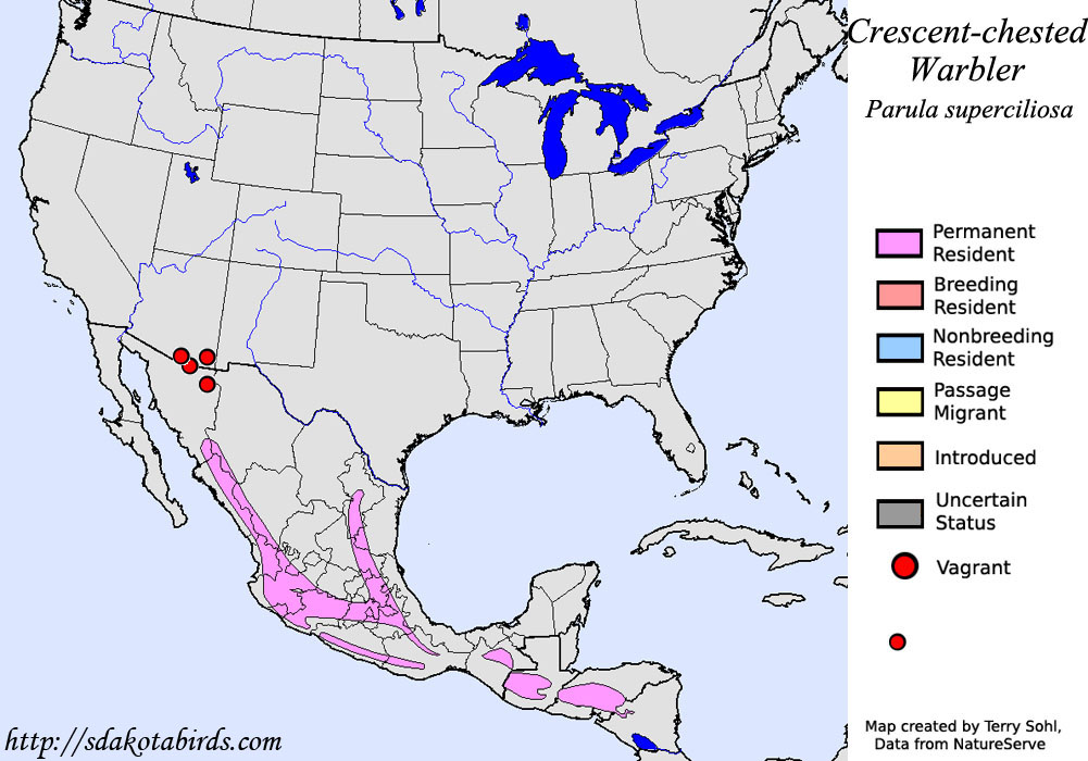 Crescent-chested Warbler - North American Range Map