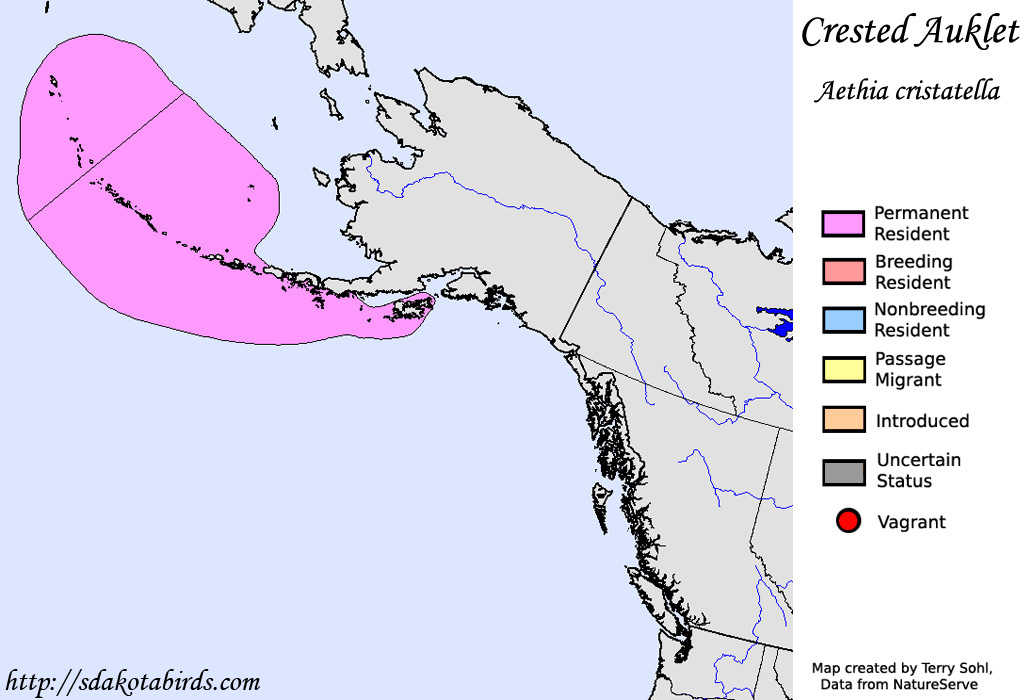 Crested Auklet - North American Range Map
