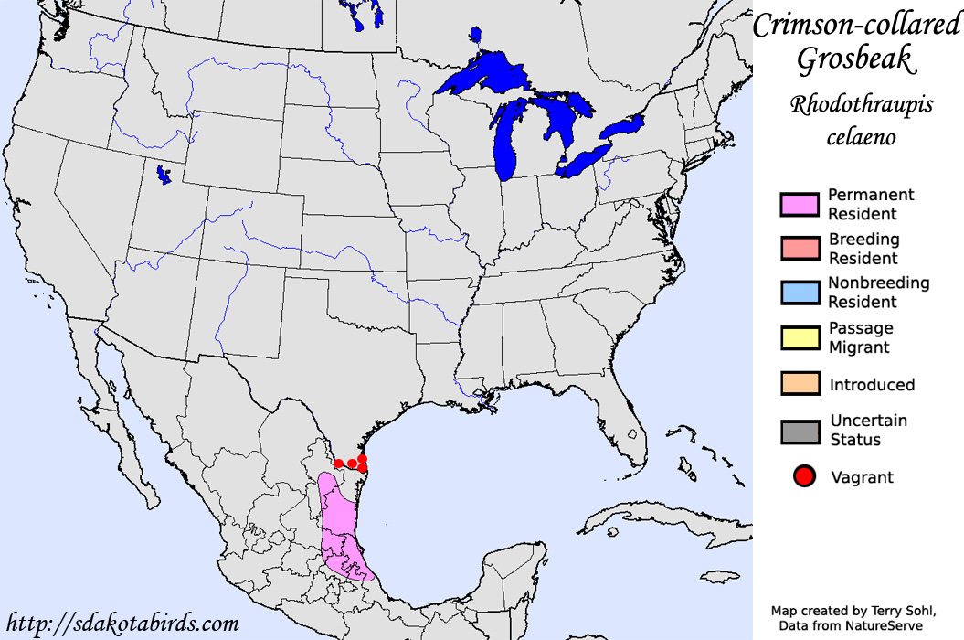 Crimson-collared Grosbeak - North American Range Map