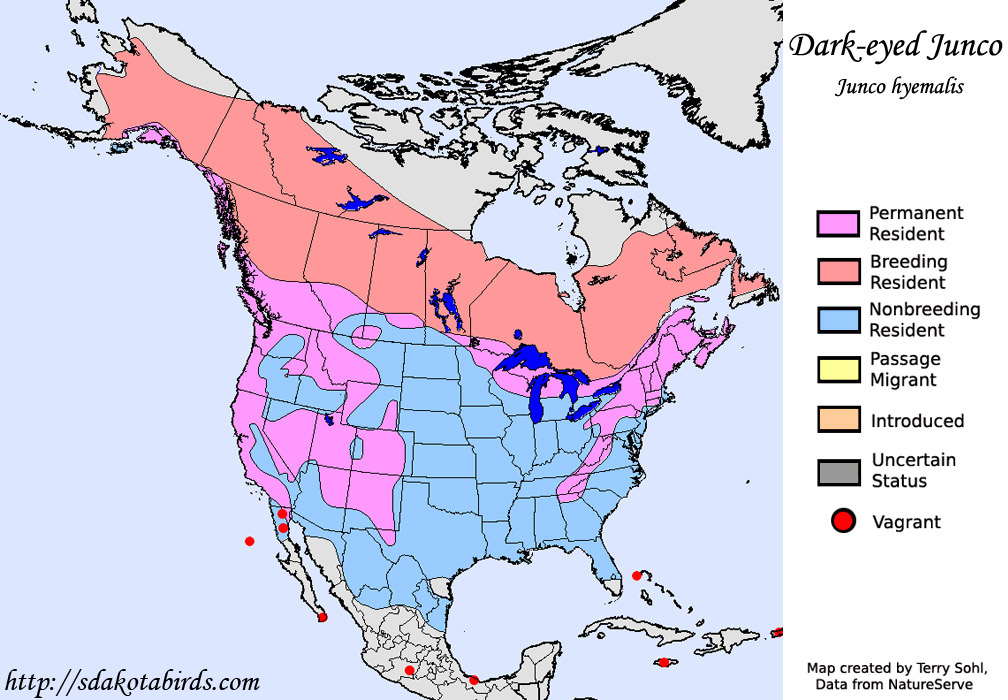 Dark-eyed Junco - North American Range Map