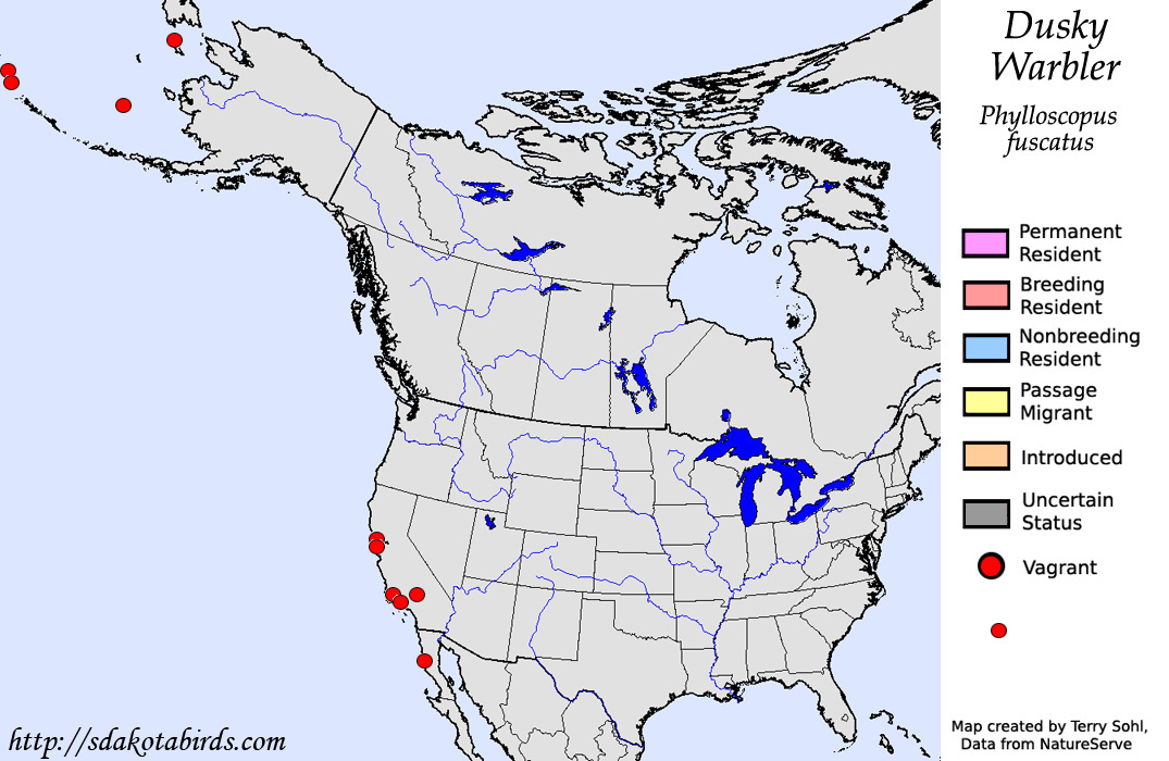 Dusky Warbler - North American Range Map
