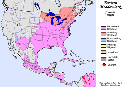 Eastern Meadowlark - Species Range Map