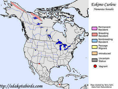 Eskimo Curlew - Range Map