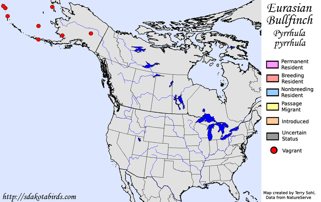 Eurasian Bullfinch - North American Range Map