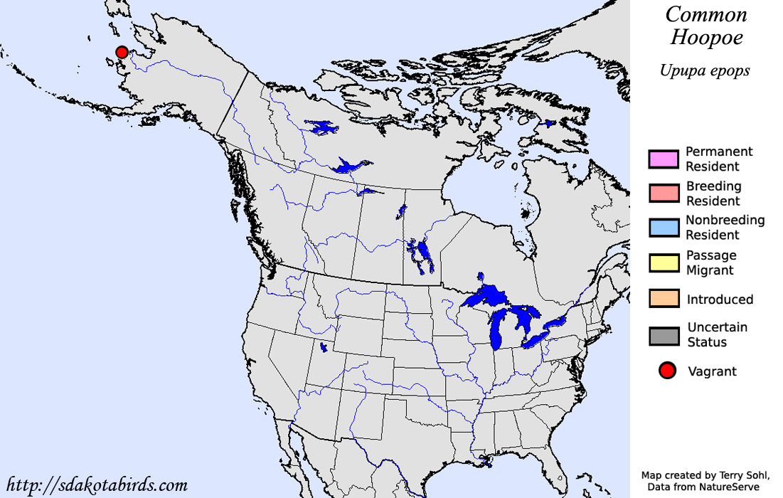 Eurasian Hoopoe - North American Range Map