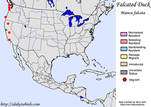 Falcated Duck - Range Map
