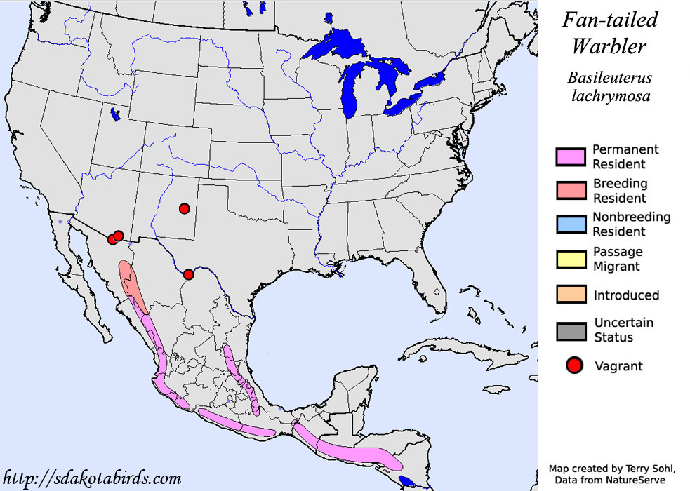 Fan-tailed Warbler - North American Range Map