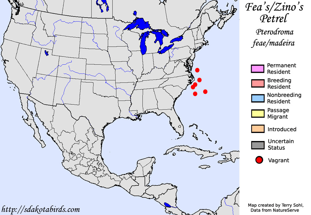 Fea's / Zino's Petrel - North American Range Map