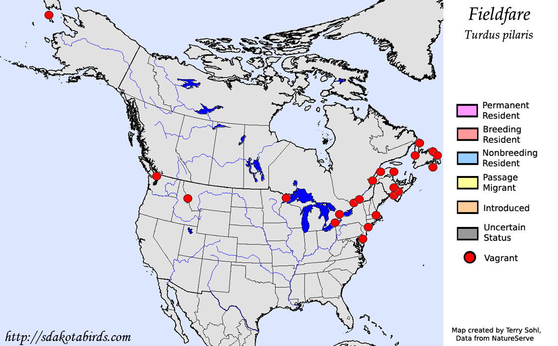 Fieldfare - North American Range Map