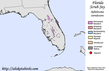 Florida Scrub-Jay - Range Map