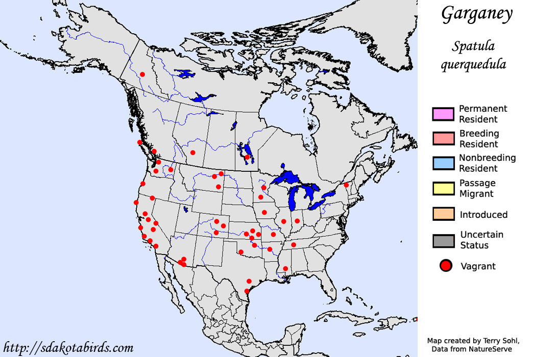 Garganey - North American Range Map