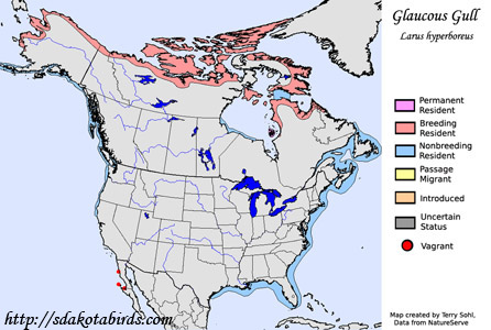 Glaucous Gull - Range Map