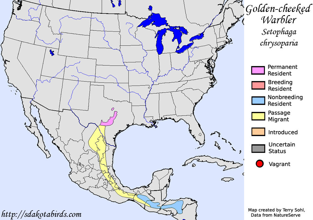 Range Map for the Golden-cheeked Warbler