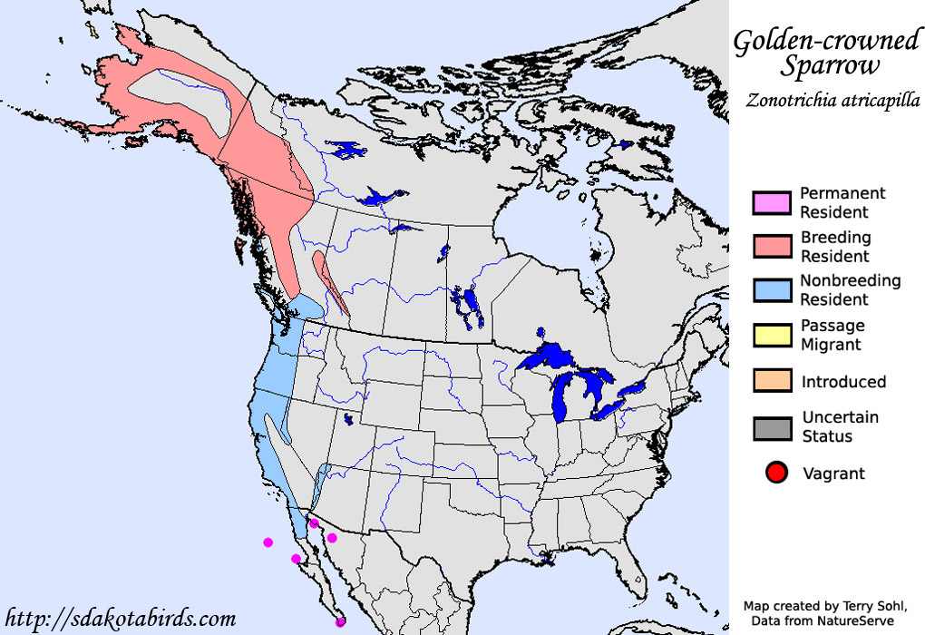 Golden-crowned Sparrow - North American Range Map