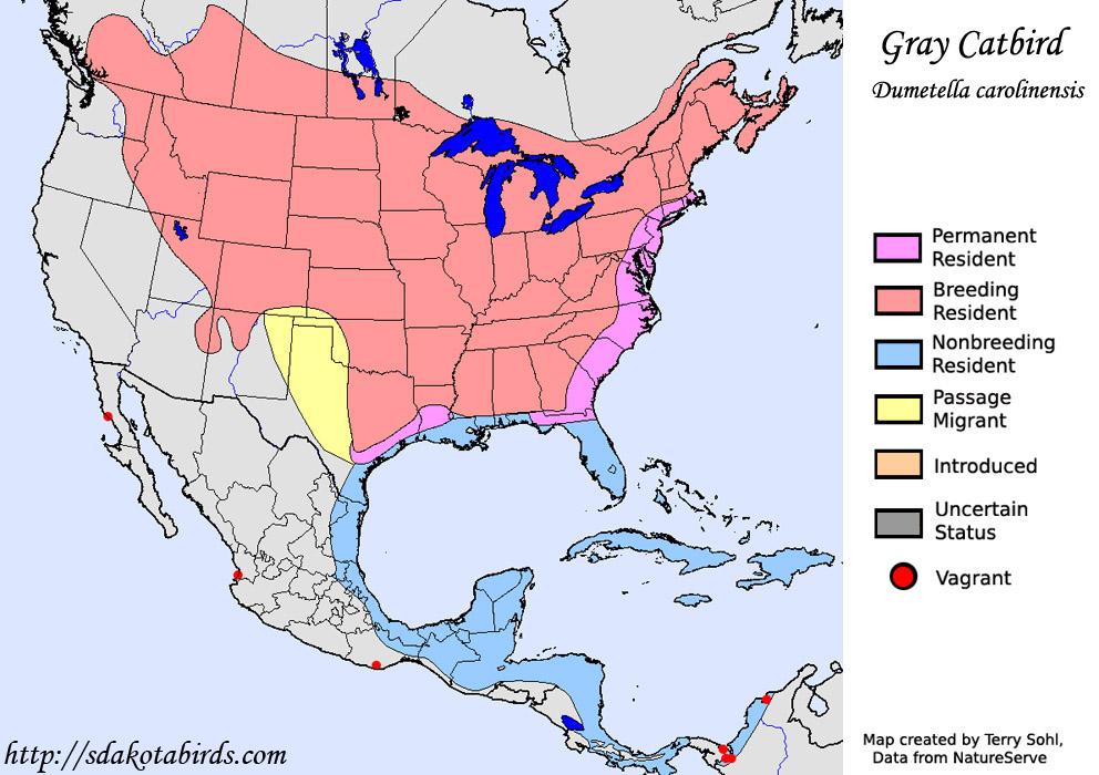 Gray Catbird - Range Map