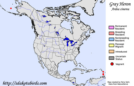 Gray Heron - Range Map