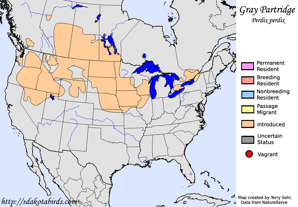 Gray Partridge - Range Map