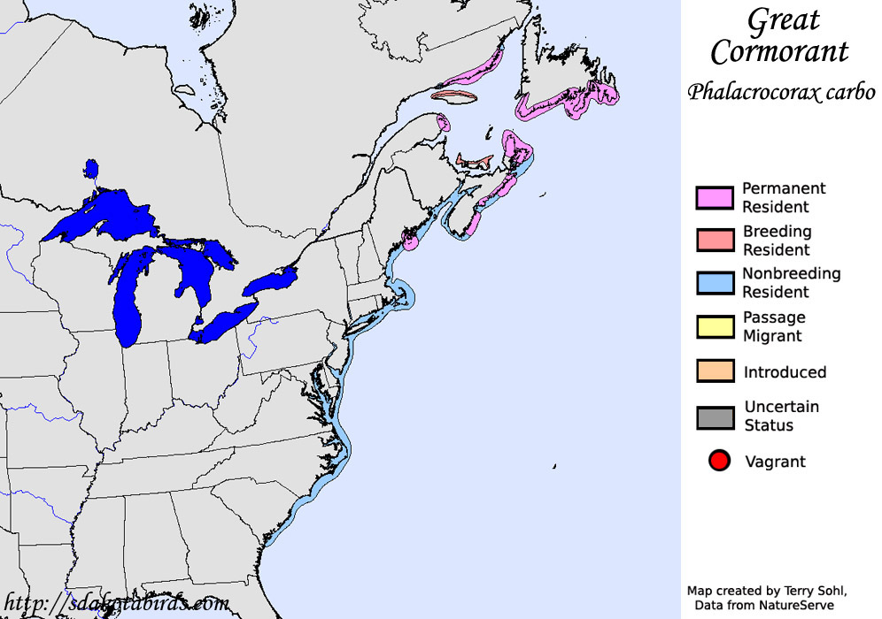 Great Cormorant - North American Range Map