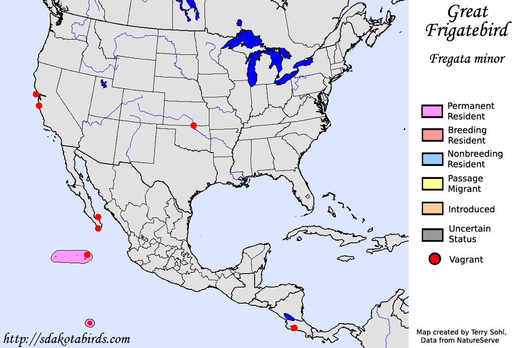 Great Frigatebird - North American Range Map