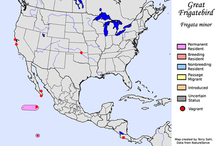 Great Frigatebird - Range Map