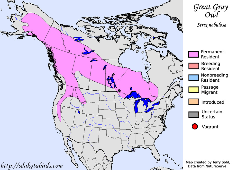 Great Gray Owl - Range Map
