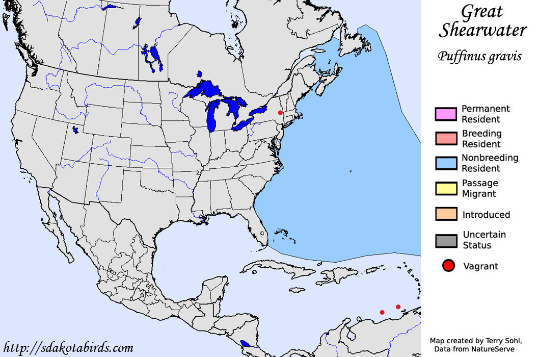 Great Shearwater - North American Range Map