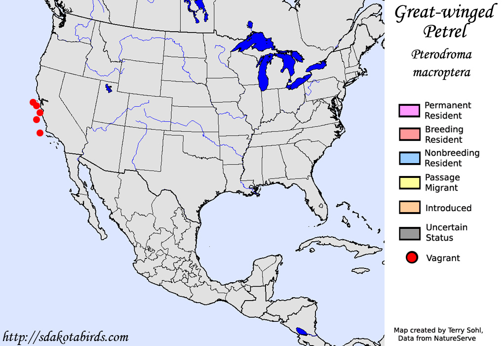 Great-winged Petrel - North American Range Map