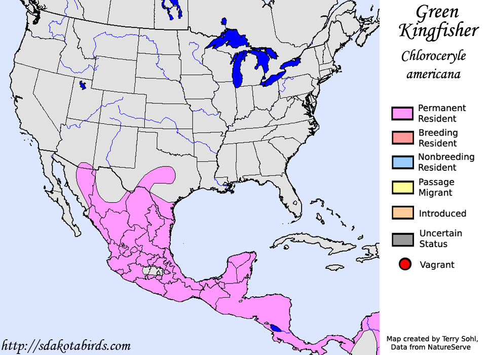 Green Kingfisher - North American Range Map