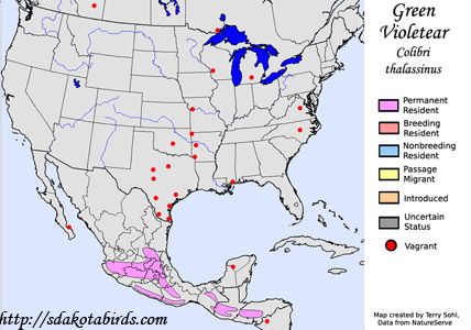 Mexican Violetear - Range Map
