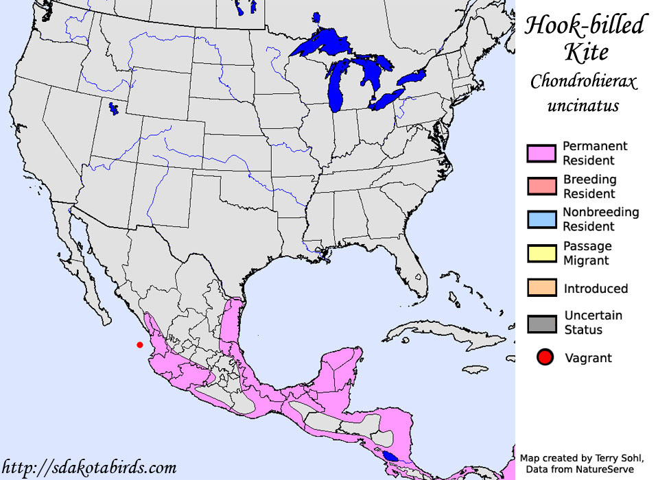 Hook-billed Kite - North American Range Map