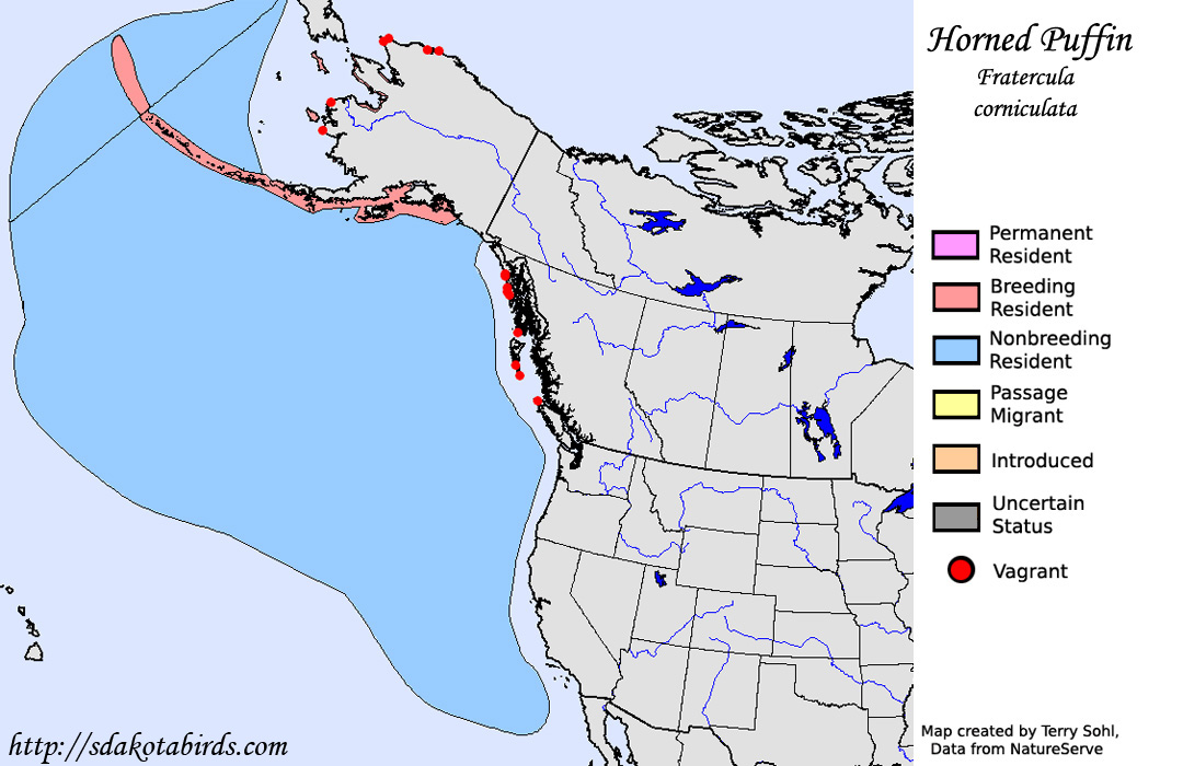Horned Puffin - North American Range Map