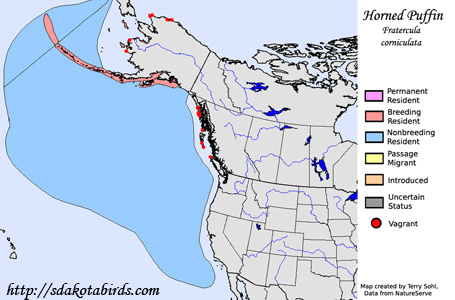 Horned Puffin - Range Map