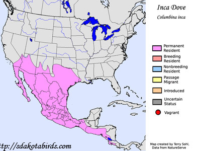 Inca Dove - Range Map