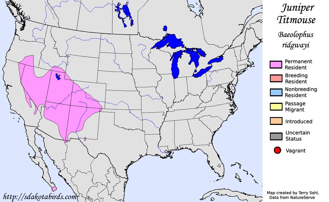 Juniper Titmouse - North American Range Map