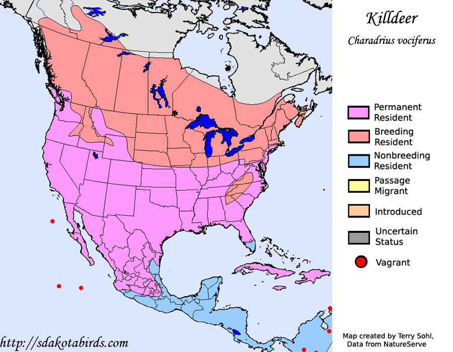 Range Map - Killdeer