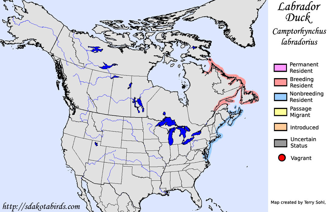 Labrador Duck - North American Range Map