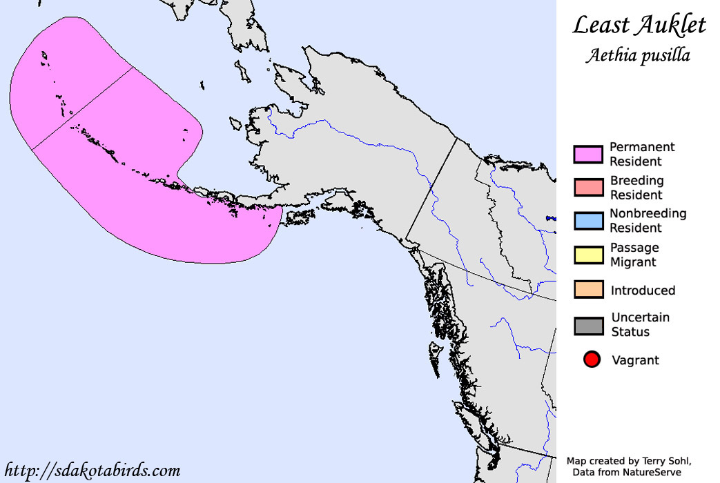 Least Auklet - North American Range Map