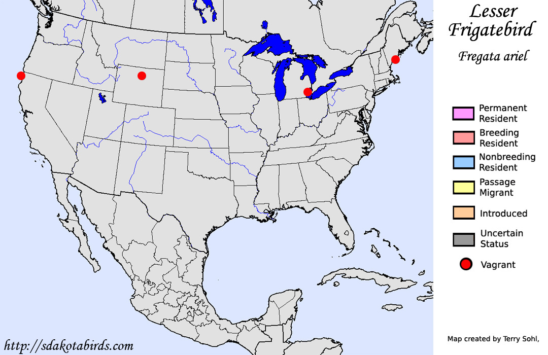 Lesser Frigatebird - North American Range Map