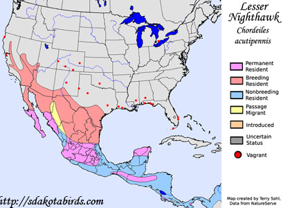 Lesser Nighthawk - North American Range Map