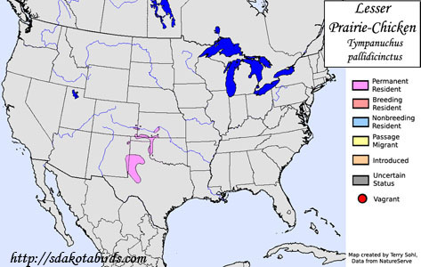 Lesser Prairie-Chicken - Range Map