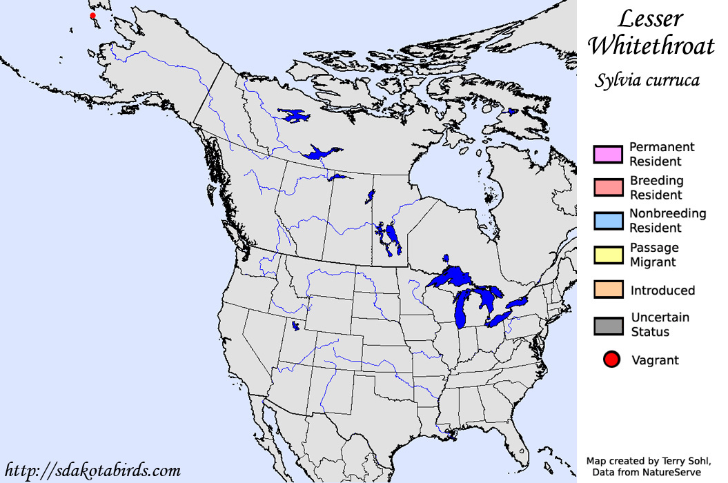 Lesser Whitethroat - North American Range Map