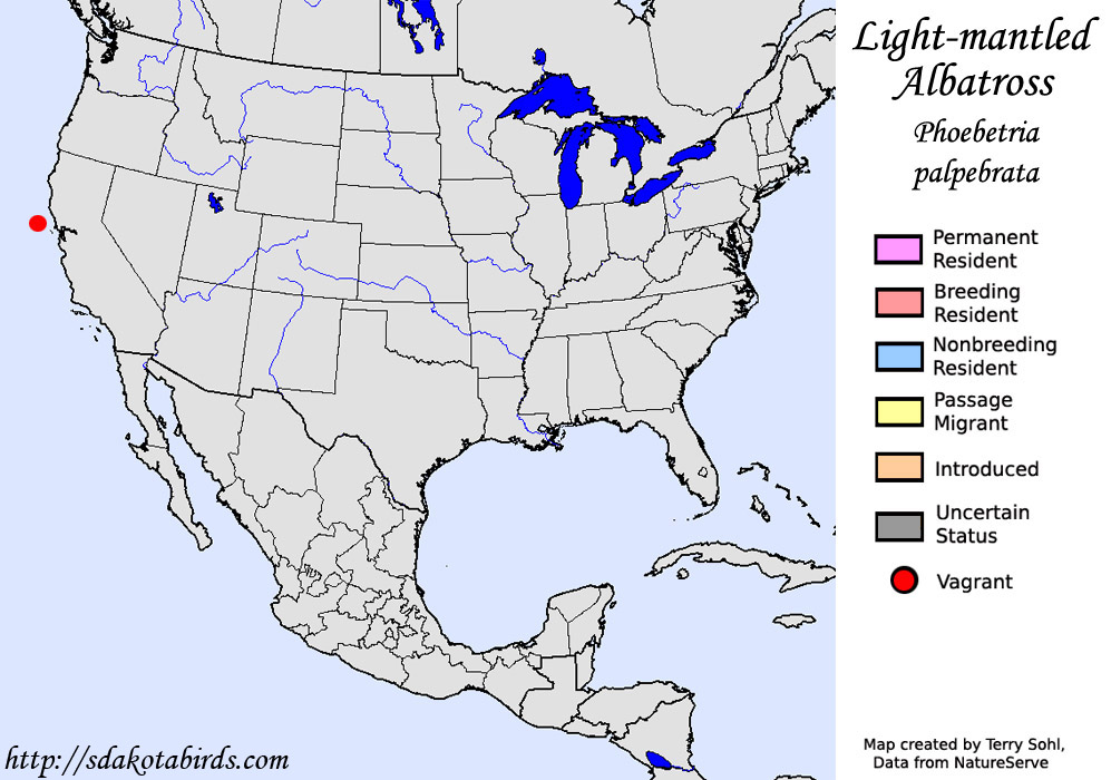 Light Mantled Albatross - North American Range Map