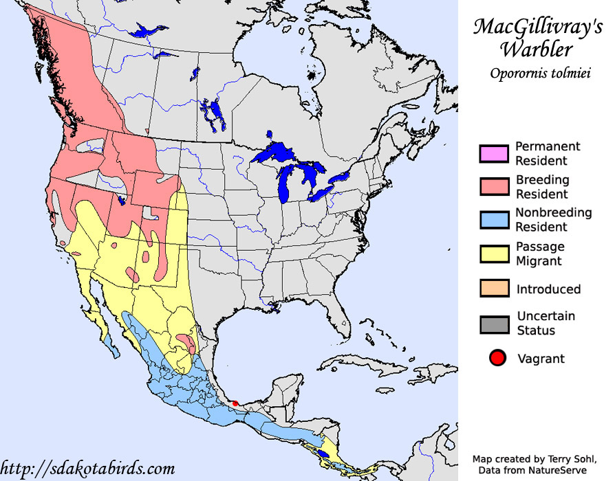 MacGillivray's Warbler - Range map