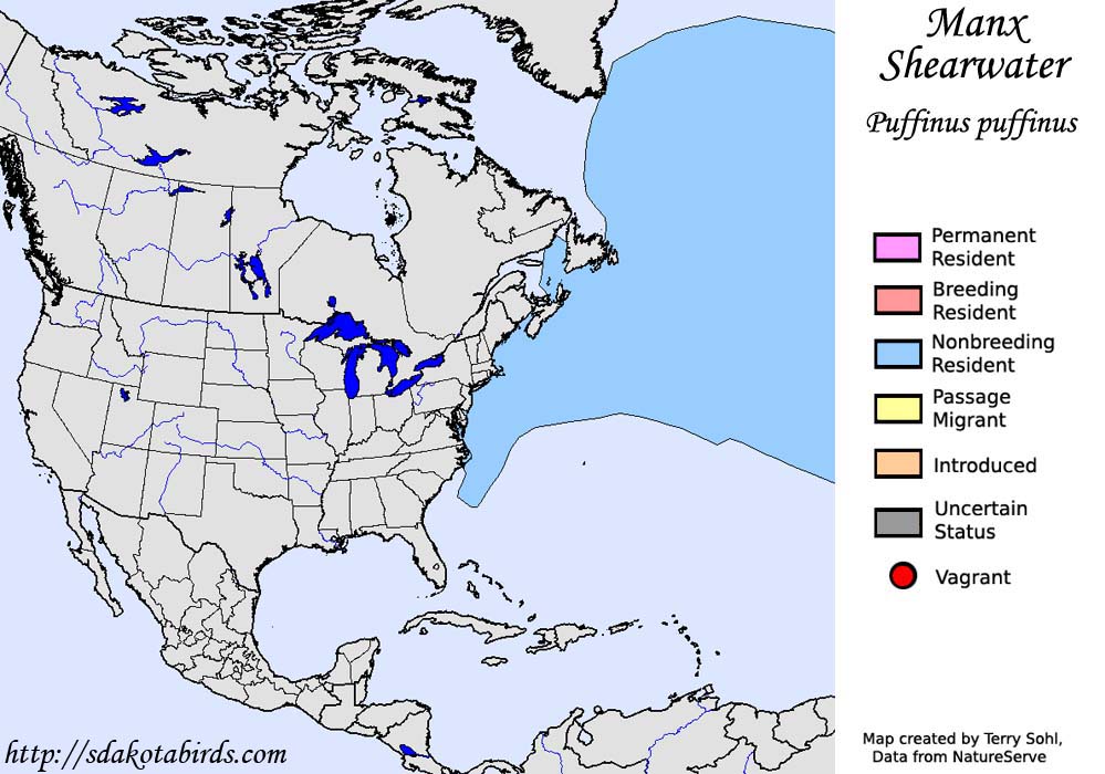 Manx Shearwater - North American Range Map